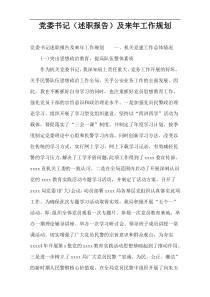 党委书记（述职报告）及来年工作规划