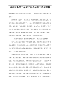 政府财务员工年度工作总结范文范例两篇