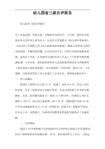 幼儿园省三级自评报告