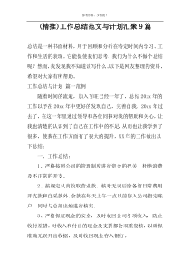 (精推)工作总结范文与计划汇聚9篇