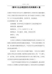 (精华)社会调查报告范例集锦6篇