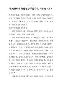 有关我眼中的爸爸小学生作文（精编3篇）