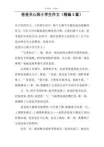 爸爸关心我小学生作文（精编3篇）