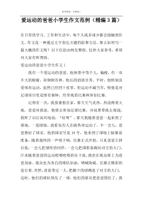 爱运动的爸爸小学生作文范例（精编3篇）