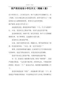 我严肃的爸爸小学生作文（精编3篇）