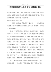 妈妈给我的爱小学生作文（精编3篇）