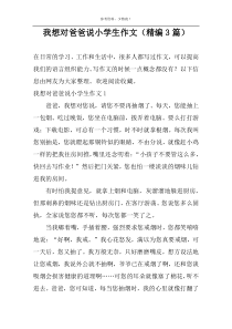 我想对爸爸说小学生作文（精编3篇）