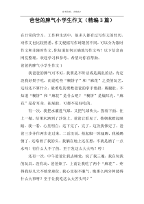 爸爸的脾气小学生作文（精编3篇）