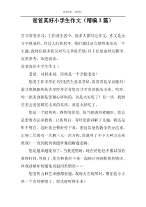 爸爸真好小学生作文（精编3篇）