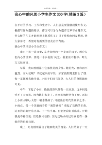 我心中的风景小学生作文300字（精编3篇）