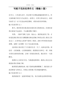 写栀子花的精选作文（精编3篇）