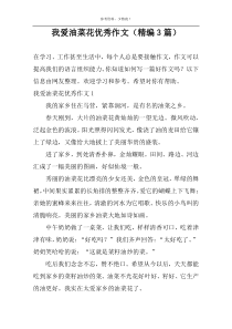 我爱油菜花精选作文（精编3篇）