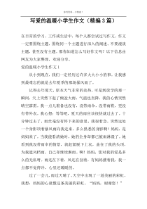 写爱的温暖小学生作文（精编3篇）