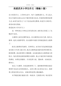 我爱武术小学生作文（精编3篇）