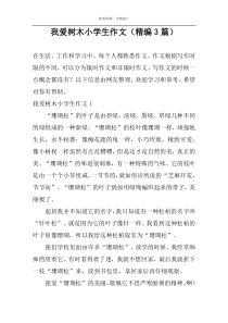 我爱树木小学生作文（精编3篇）