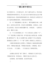 一棵小树中考作文