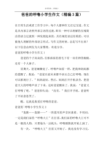 爸爸的呼噜小学生作文（精编3篇）