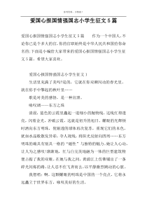 爱国心报国情强国志小学生征文5篇