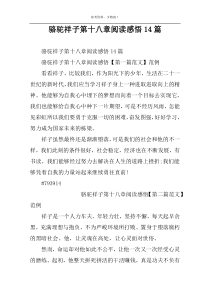 骆驼祥子第十八章阅读感悟14篇