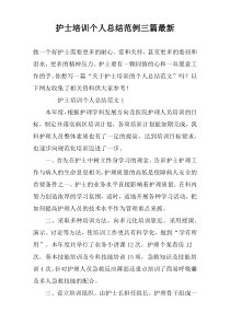 护士培训个人总结范例三篇最新