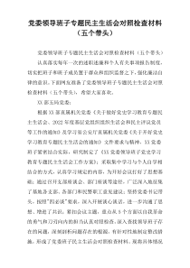 党委领导班子专题民主生活会对照检查材料（五个带头）