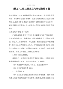(精品)工作总结范文与计划集锦6篇
