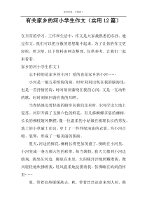 有关家乡的河小学生作文（实用12篇）