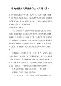 有关成熟的风景优选作文（实用3篇）