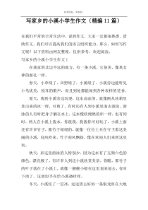 写家乡的小溪小学生作文（精编11篇）