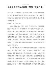 推销员个人工作总结范文范例（精编3篇）