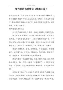 望天树的优选作文（精编3篇）