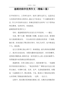 温暖的陪伴优选作文（精编3篇）