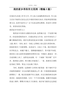 我的家乡阜阳作文范例（精编3篇）
