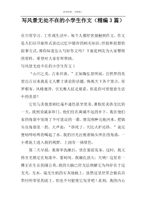 写风景无处不在的小学生作文（精编3篇）