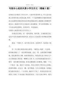 写留在心底的风景小学生作文（精编3篇）