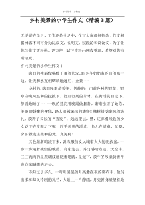 乡村美景的小学生作文（精编3篇）