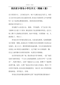 我的家乡青岛小学生作文（精编3篇）