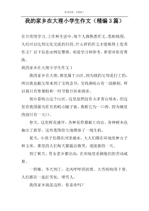 我的家乡在大理小学生作文（精编3篇）