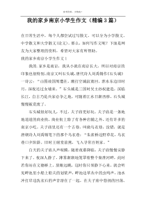 我的家乡南京小学生作文（精编3篇）