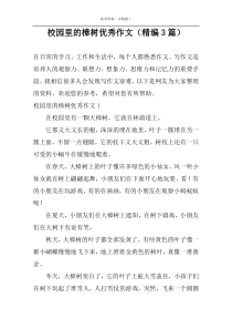 校园里的樟树优选作文（精编3篇）