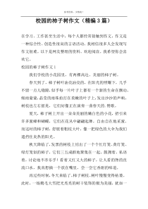 校园的柿子树作文（精编3篇）