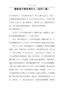 最新柿子树优选作文（实用3篇）