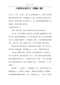 小树的自述作文（精编3篇）