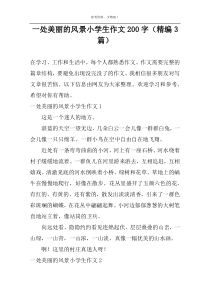 一处美丽的风景小学生作文200字（精编3篇）