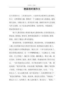 想家的时候作文