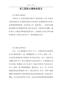 员工团员心得体会范文