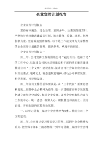 企业宣传计划报告