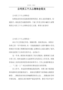 公司员工个人心得体会范文