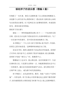 骆驼祥子的读后感（精编3篇）