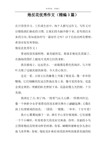 炮仗花优秀作文（精编3篇）